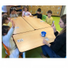 KOZA SINIFI İLE