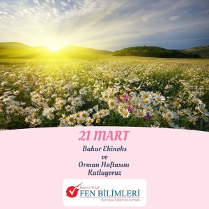 21 MART BAHAR EKİNOKS VE ORMAN HAFTASI