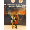 DANS SPORU KOREOGRAFİ LATİN TAKIM TÜRKİYE ŞAMPİYONASI