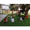 ZEYTİN AĞACININ ALTINDA YAPAY ZEKÂ SOHBETİ