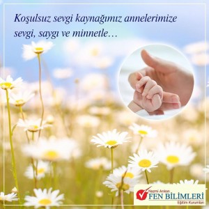 KOŞUL SEVGİ KAYNAĞIMIZ ANNELERİMİZİN GÜNÜ KUTLU OLSUN