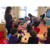 KOZA VE KELEBEK SINIFININ BU AYKİ RENGİ